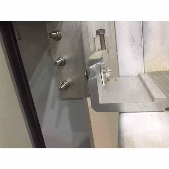 高品質の天然食品添加物サッカロミセス・セレビシエ細胞壁