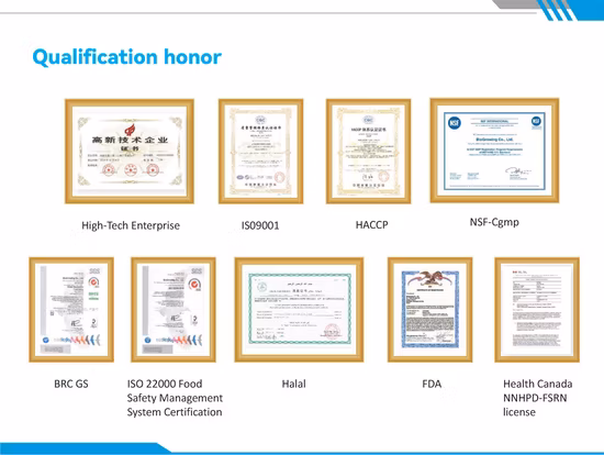 ビーガン オーガニック 免疫サプリメント ヘルスケア パウダー 乳酸菌 プロバイオティクス